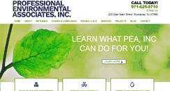 Desktop Screenshot of professionalenvironmentalassociates.com